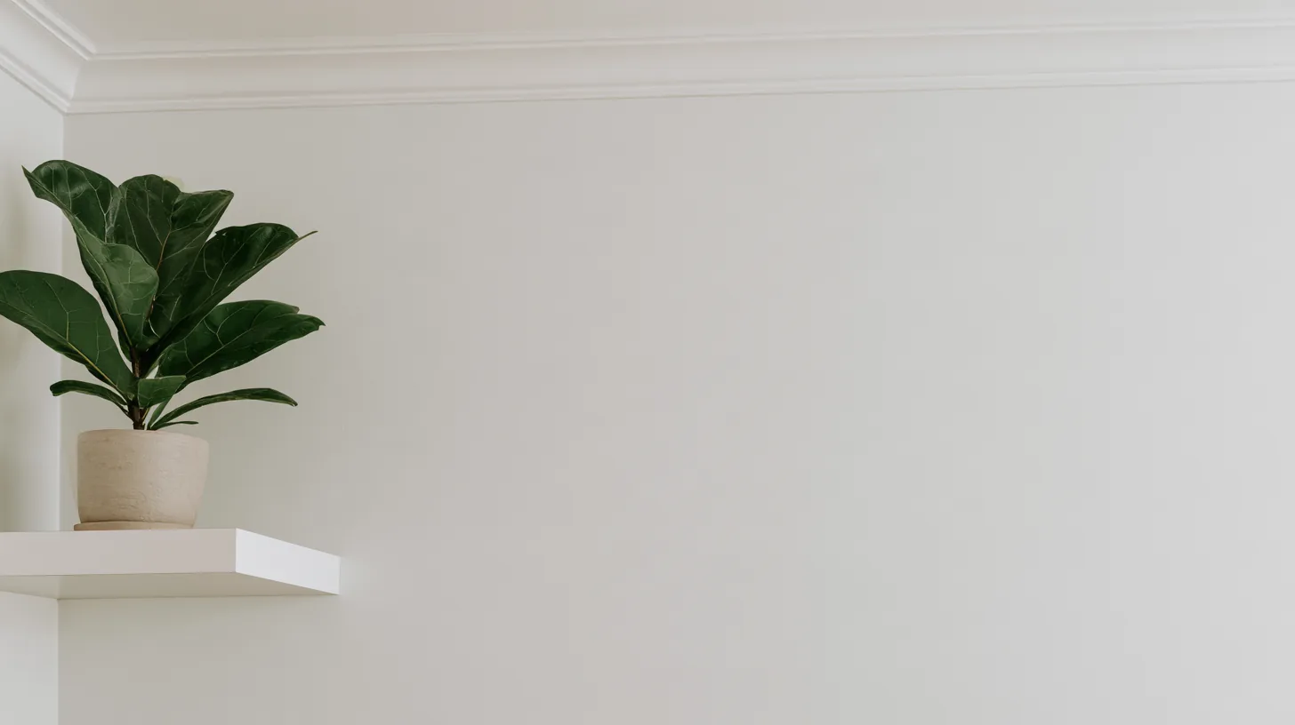 Neutral wall with a subtle texture and a potted plant on a floating shelf.